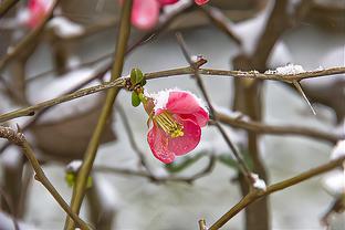 Tài xế xe buýt dùng gậy đánh tài xế xe ôm công nghệ vì... không nhường đường